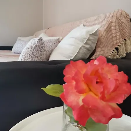Apartma Vrtnica בובק