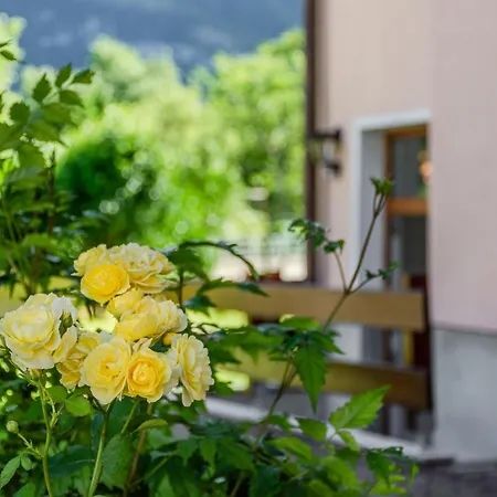 Apartma Vrtnica *